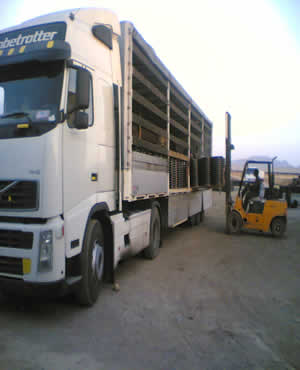 MC 250